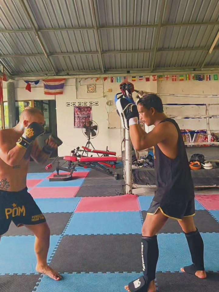 P.O.M MMA Sparringshandschuhe Echtleder – Schwarz/Gold